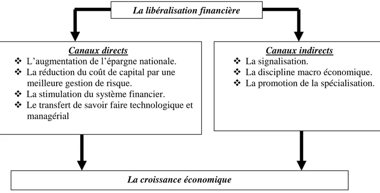 Figure I.4.Les canaux de transmission de la libéralisation à la coissance économique 