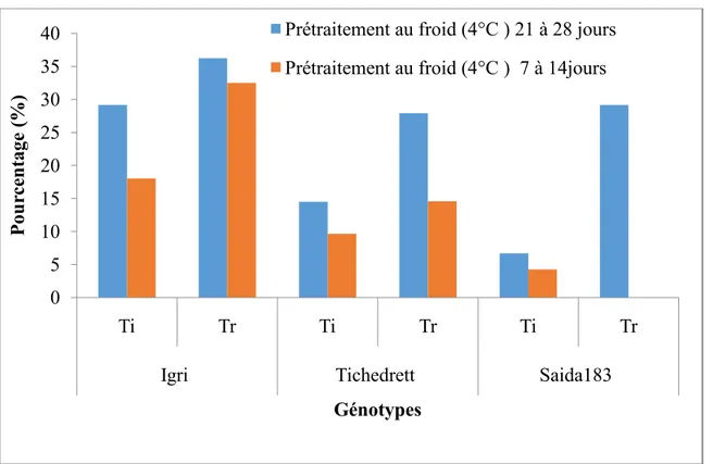 Figure 11 : Effet du prétraitement au froid sur le taux d’induction (Ti%) et la régénération  (Tr%) andro-génétique pour les trois génotypes