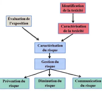 Figure 2.1  Les différentes étapes de  la gestion  du  risque d ' une substance (modifié de Krug et  Wick, 2011)