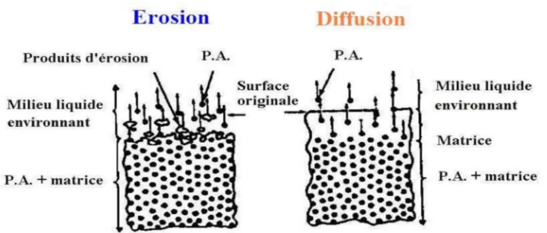 Figure 6 : Représentation schématique de la libération d’un PA incorporé dans un système matriciel par les mécanismes d’érosion et de diffusion [35].