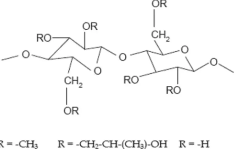 Figure 12 : Structure chimique de l’HPMC [47].