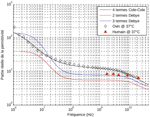 Figure 2.14 : Comparaison de trois modèles décrit pour la permittivité réelle des Os cortical