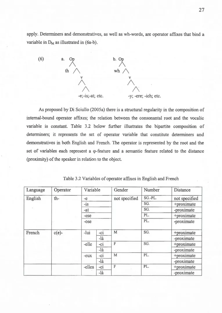 Table 3.2 Variables of opera tor affixes in English and French 