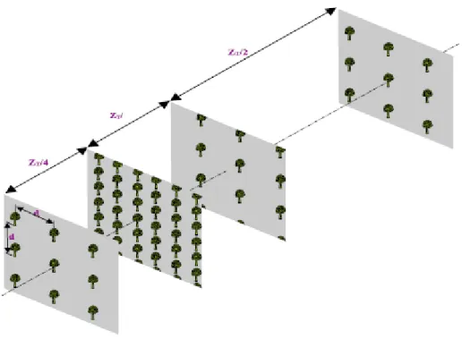 Figure 2.1- Effet de la diffraction au niveau des plans Talbot fractionnaire, Z t /4, Z t /2 et Z t [9]
