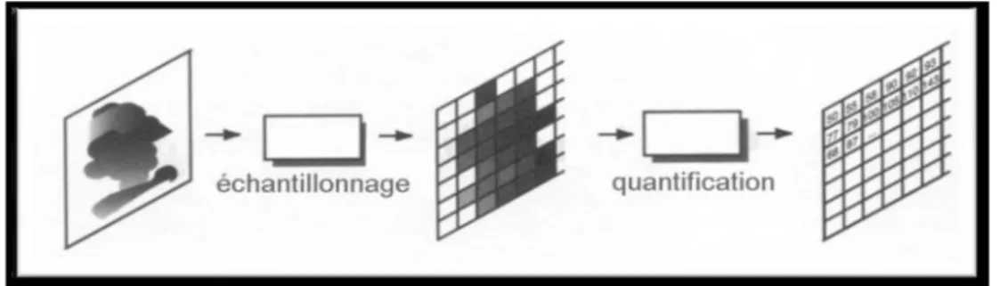 Figure 1.4: Echantillonnage et quantification.