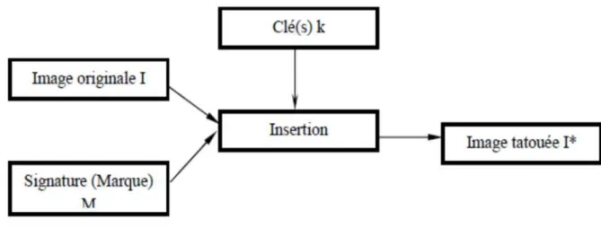 Figure II.1: Schéma d’insertion.