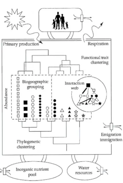 Figure  1  Relationship  between  biodiversity, ecosystem  functioning  and  human  well- well-being 