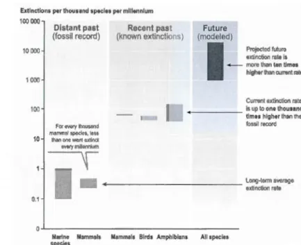 Figure  2  Species  extinction  rates  from  fossil  data,  real  data  and  predictions  for  the  future
