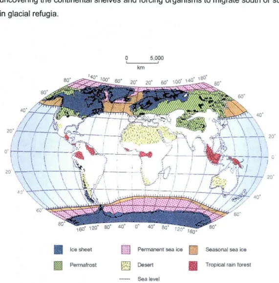 Figure 8 The extent of ice and  sea  leve!  retreat during  LGM.  (Source:  Hewitt,  2000) 