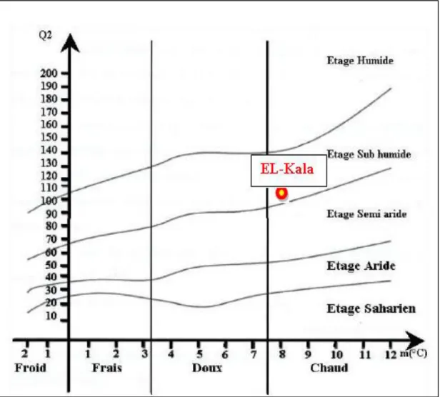 Fig. 16 . Position de la région d’El Kala dans le Climatogramme d’Emberger 