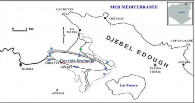 Fig  18.  Localisation  de  l'écocomplexe  de  zones  humides  de  Guerbès-Senhadja  (TOUBAL et al., 2014)
