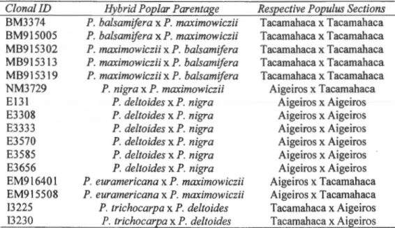 Table  2.1  - Hybrid  poplar  clones  with  their  respective  identifications  and  poplar  sections  used  for  laboratory  experiments