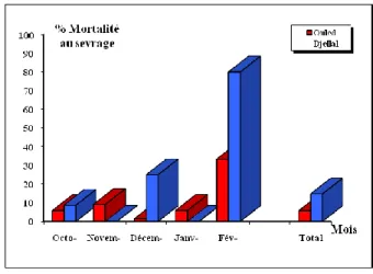 Figure 2. Evolution de la mortalité des agneaux   entre la naissance et le sevrage (0-90 jours) (%)   selon les mois d’agnelage chez les races Ouled Djellal   et Taâdmit