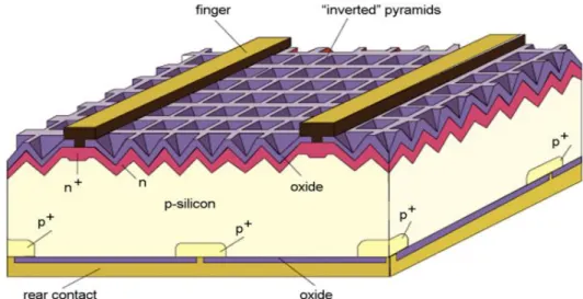 Figure 1.19: Schéma de la cellule PERL de haut rendement [15] .  1.5.1.2.  Silicium polycristallin  