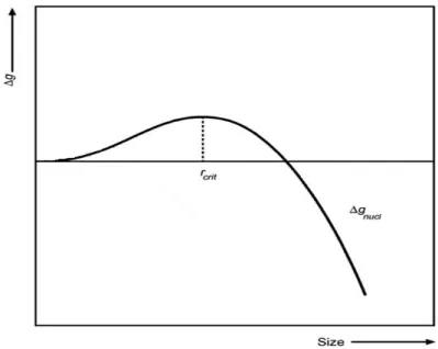 Figure I.16 : Variation de l’énergie libre de nucléi en fonction de la taille de cluster