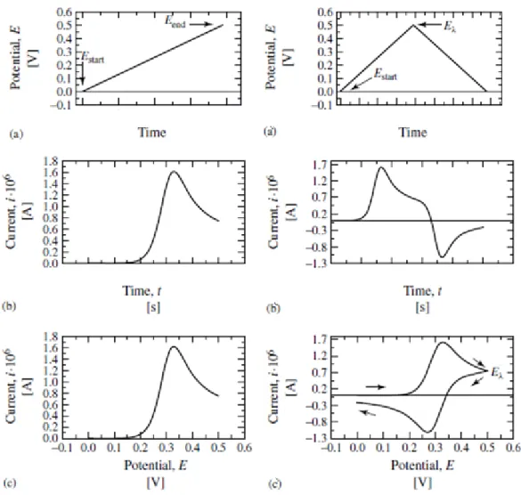 Figure II.4 :  Signales de balayage de potentiel et les résultats typiques de la voltametrie  linéaire (à gauche) et de la voltametrie cyclique (à droite)