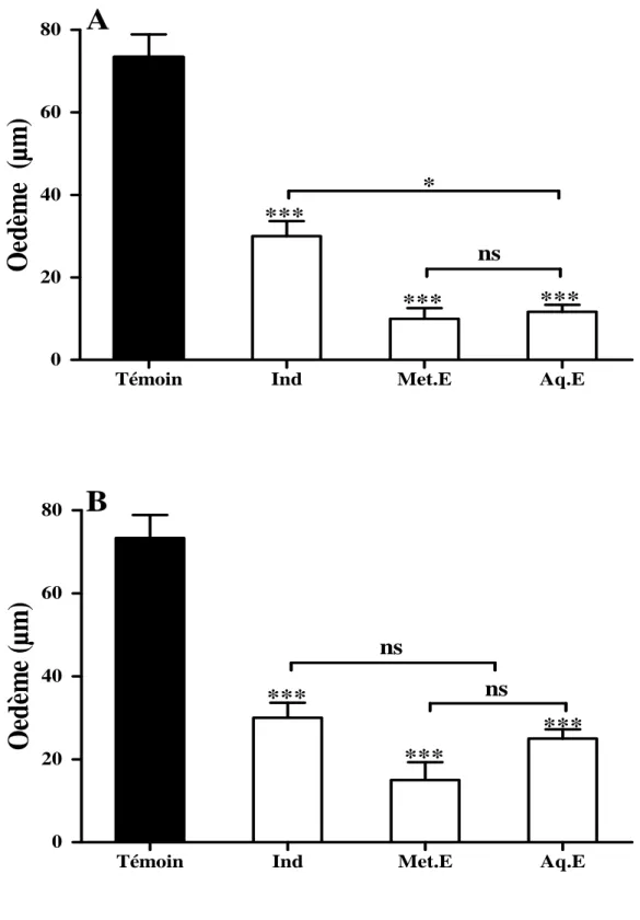 Figure  13  :  Effet  des  extraits  des  feuilles  (A)  et  des  bourgeons  floraux  (B)  de  C