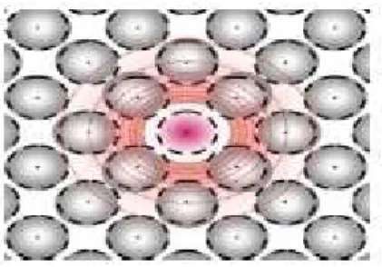 Figure 9 : Représentation d’atome étranger en substitution.  