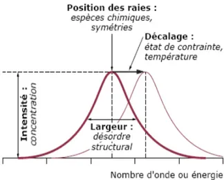 Figure 6 : Informations pouvant être extraites d’un spectre Raman [11]. 