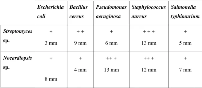 Tab. 12 : Effet antagoniste de Streptomyces sp. MADO2 et Nocardiopsis sp MADO3 vis- vis-à-vis quelques souches bactériennes pathogènes