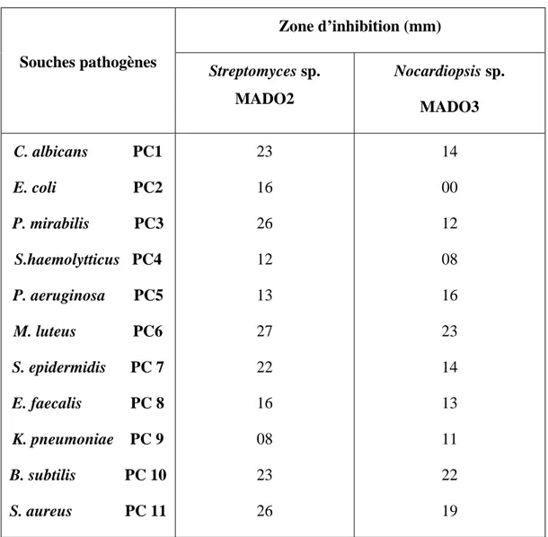 Tab. 14 : Activité antimicrobienne de Streptomyces sp. MADO2 et Nocardiopsis sp. 
