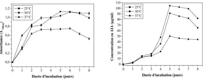Fig. 3 : Effet de la température sur la croissance et la production de l’AIA chez  Streptomyces sp