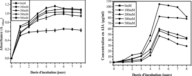 Fig. 4 : Effet du NaCl sur la croissance et la production de l’AIA chez Streptomyces sp