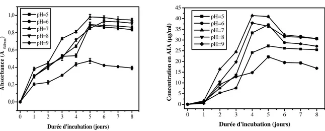 Fig. 6 : Effet du pH sur la croissance et la production de l’AIA chez Nocardiopsis sp