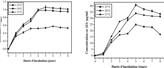 Fig. 7 : Effet de la température sur la croissance et la production de l’AIA chez  Nocardiopsis sp