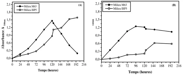 Fig. 9 : Croissance de  Streptomyces sp. MADO2 (A) et Nocardiopsis sp. MADO3 (B)  cultivés sur milieux M63 et ISP5