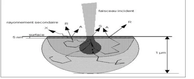 Fig. II.2 : Schéma de la pénétration du faisceau primaire d’électrons dans l’échantillon,  