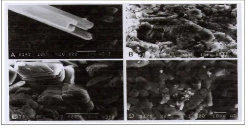 Fig  II.3  A  :  Tubes  de  halloysite  et  grains  de  kaolinite  et  de  ses  polymorphes  ayant  diverses  formes