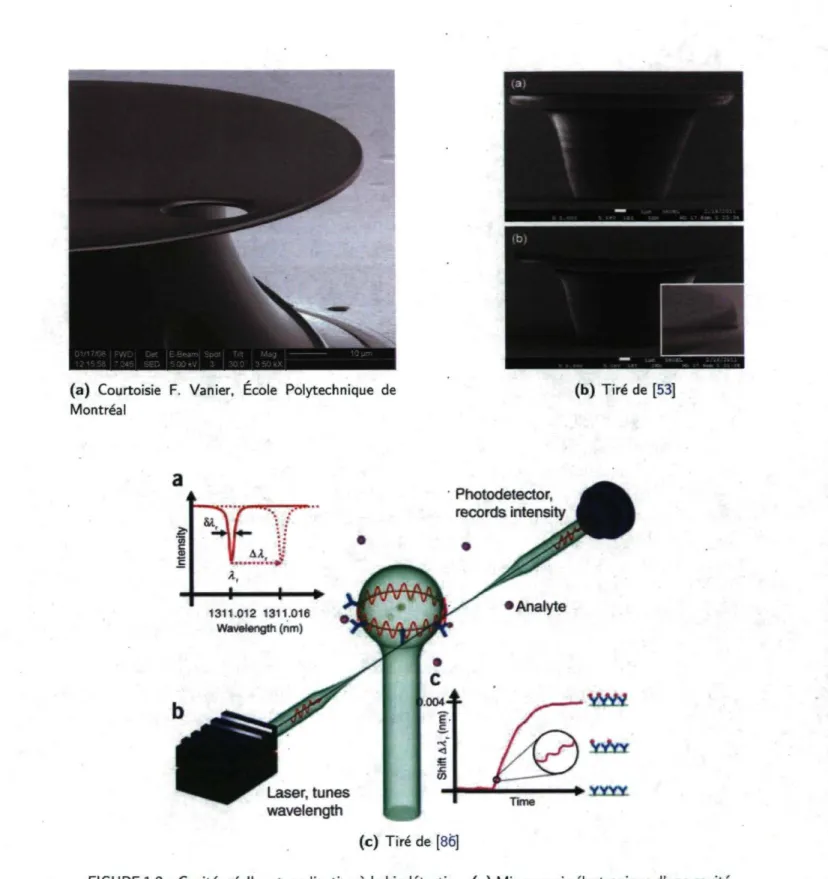 FIGURE 1.2 - Cavités réelles et application à la biodétection, (a) Microscopie électronique d'une cavité  annulaire monolithique de SiÛ2 La cavité est fabriquée par lithographie laser et possède un rayon de  50 um