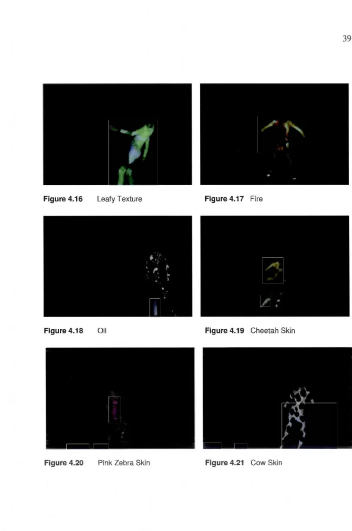 Figure 4.16  Leafy Texture  Figure 4.17  Fire 