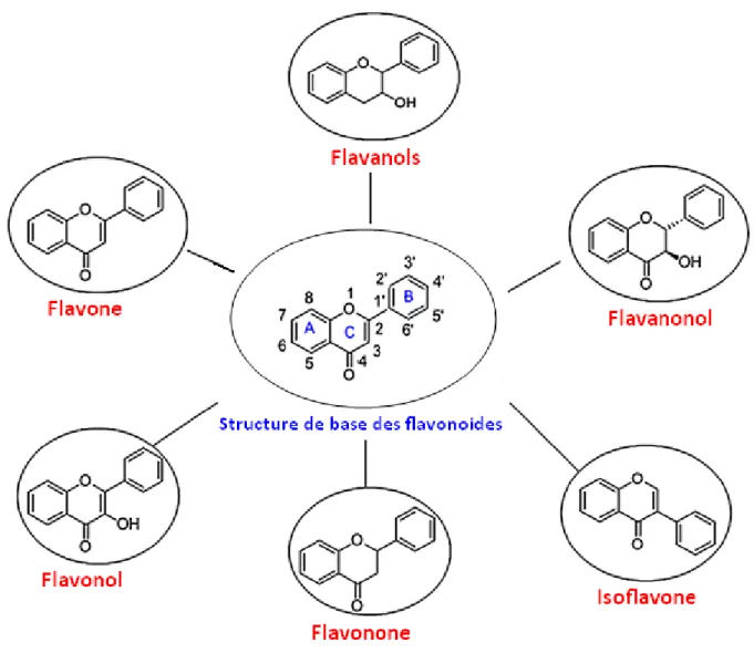 Figure 7. Les différentes classes de flavonoïdes.  