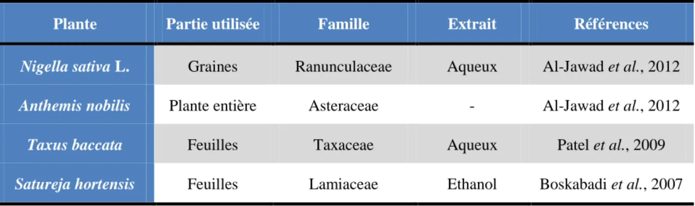 Tableau 2 : Quelques plantes à activité bronchorelaxante 