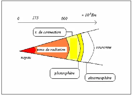 Figure I.1 : Coupe schématique du soleil [2].