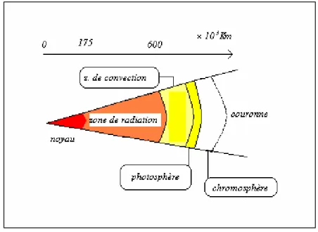 Figure I.1 : Coupe schématique du soleil [2].