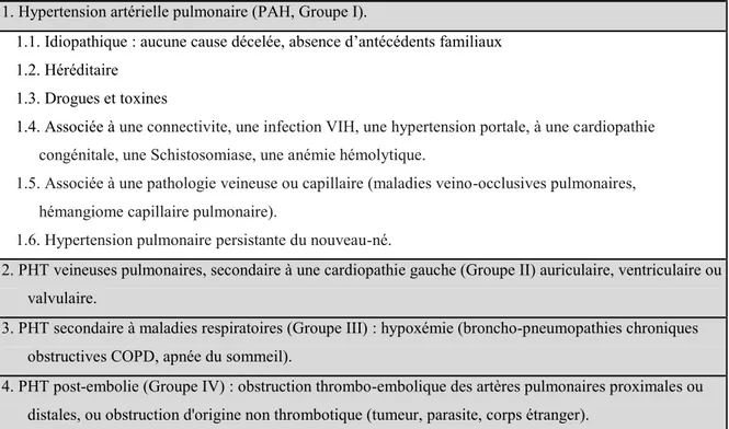 Table 1- 1: Classification clinique des PHT selon l’Organisation mondiale de la Santé