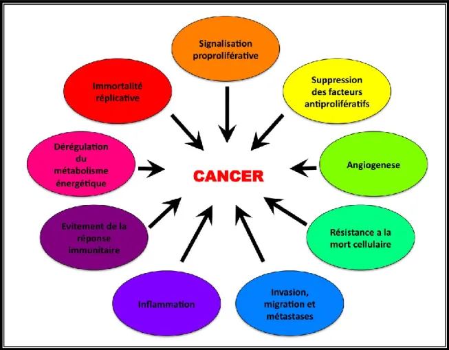Figure 1- 9: « Sceau » du cancer décrit par Hanahan and Weinberg en 2011 239 . 