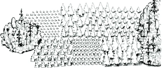 Figure 2.1  Mosaïque de plantations connectant deux îlots de forêt naturelle. Schéma  d'une méthode d'aménagement proposée pour les plantations en Nouvelle-Zélande