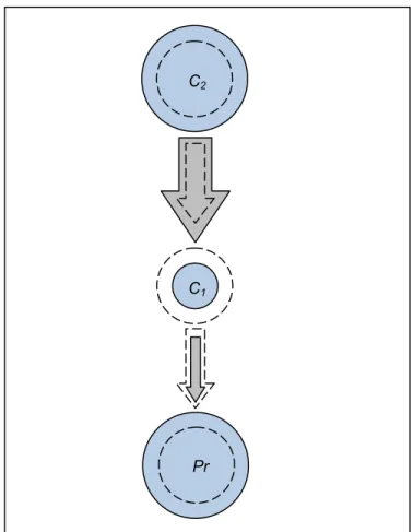 Figure 1.3 Représentation d’une cascade trophique. Elle est déclenchée par une augmentation  des  consommateurs  de  second  niveau  (C 2 ),  ce  qui  fait  augmenter  la  pression  sur  les  consommateurs de premier niveau (C 1 )