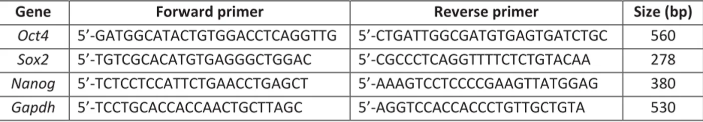 TABLE 1: Primers used for mapping of Sry polyadenylation sites: 