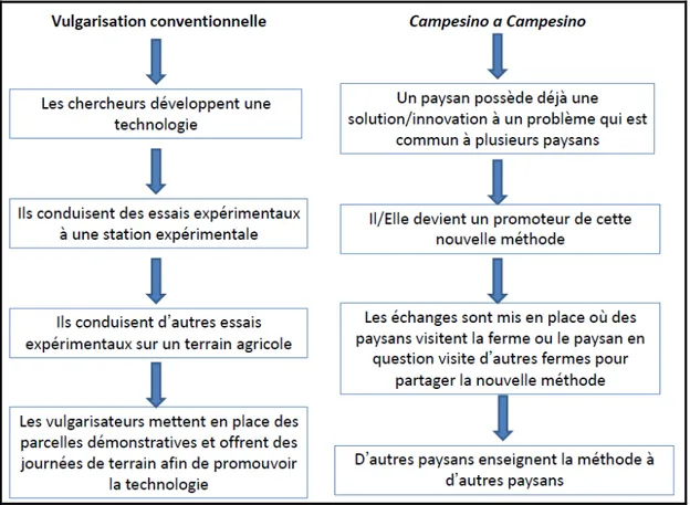 Figure 3.1 : Vulgarisation conventionnelle versus Campesino a Campesino. 