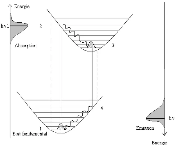 Figure III.4 : Diagramme de configuration d’un centre coloré montrant les fréquences  d’absorption et d’émission