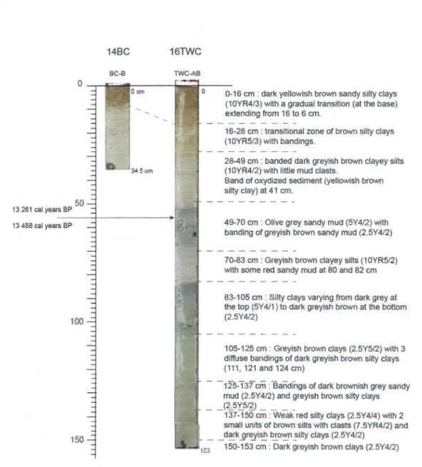 Figure 4. Photographs and summarised sediment core description of  cores  14BC and  16TWC  taken immediately after the opening of the cores on board
