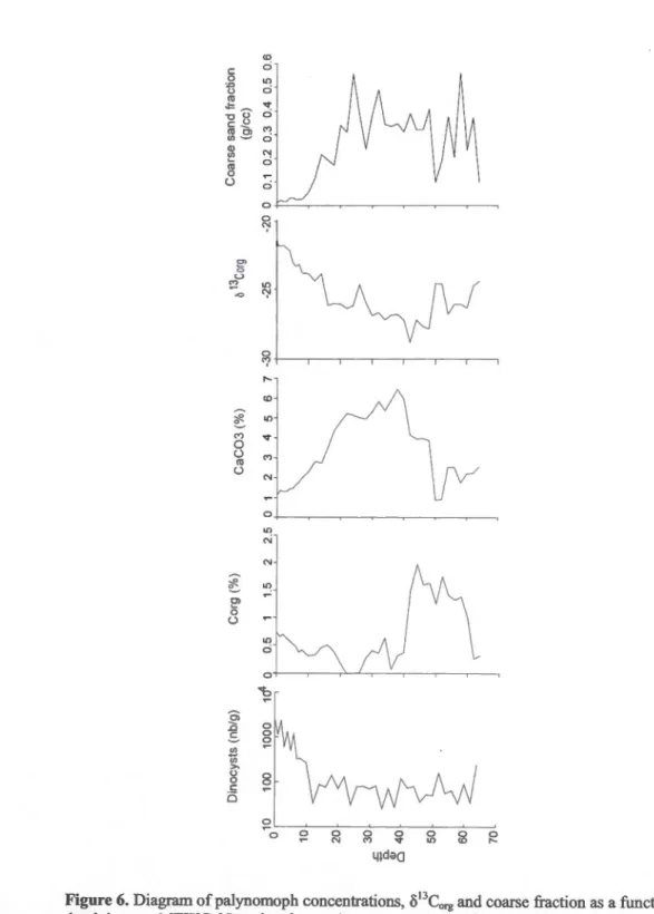 Figure 6. Diagram ofpalynomoph concentrations, S 13 C org  and coarse fraction as  a function of  depth in core  16TWC