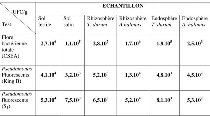 Tab.  7 :  Tableau  récapitulatif  des  résultats  de  dénombrement  de  la  flore  totale  et  des  Pseudomonas fluorescents spp
