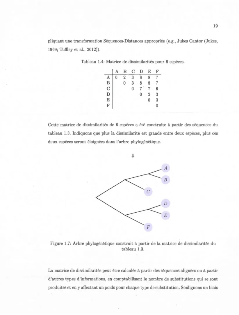 Tableau  1.4: Matrice  de dissimilarités  pour 6 espèces. 