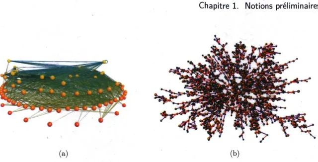 Figure 1.1 - Deux exemples de réseaux, (a) Chaîne alimentaire du lac de Little Rock, au Wis- Wis-consin